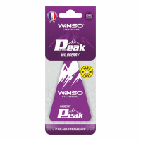 Ароматизатор Winso Peak Wildberry